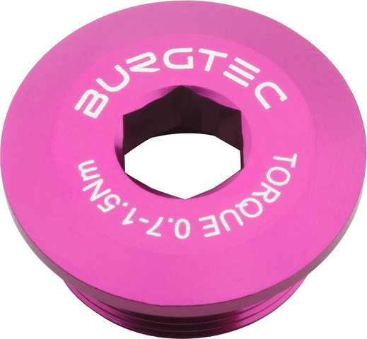 Burgtec Kurbelarmschraube für Shimano Hollowtech II/E-Bike Motor - purple rain