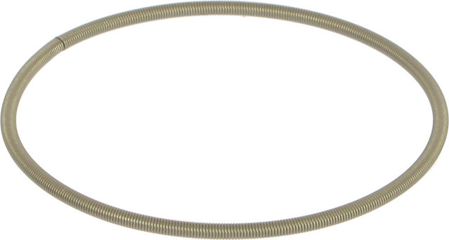 crankbrothers Pawl Spring up to 2010 (1. Generation) - universal