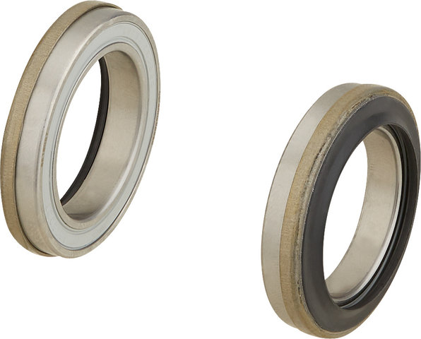 CeramicSpeed Alpha Campagnolo Pro Tech Gravel Lagersatz - black