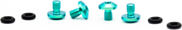 OAK Components Juego de tornillos de titanio para SRAM Bleedport Mineral Oil - green