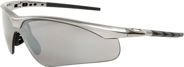 Endura Shark Sports Glasses - silver/smoke