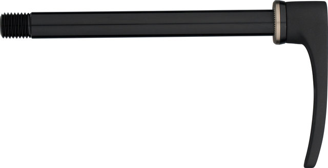 DT Swiss RWS Road Thru Axle with Quick-Release Lever - black/12 x 100 mm