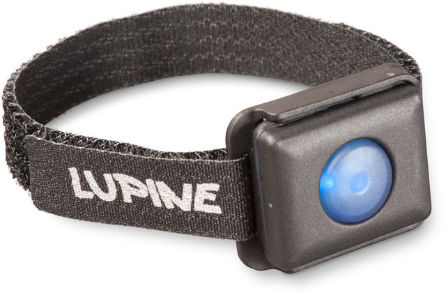 Lupine Wristband Mount for Betty R Remote - black/universal