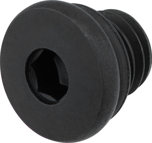 Shimano Tornillo de purga para BL-M9120 / M820 / M8100 / ST-R785 / RS685 - negro