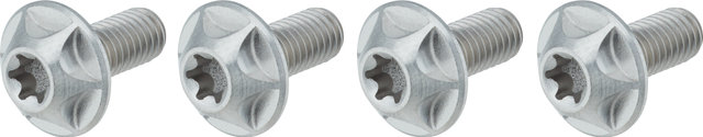 SILCA Titanium Bottle Cage Bolts Torx - titanium
