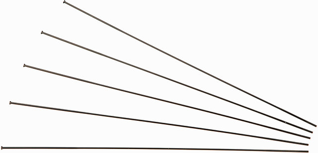 Rayons Competition® Straightpull 2.0 / 1.8 - 5 pièces - noir/304 mm