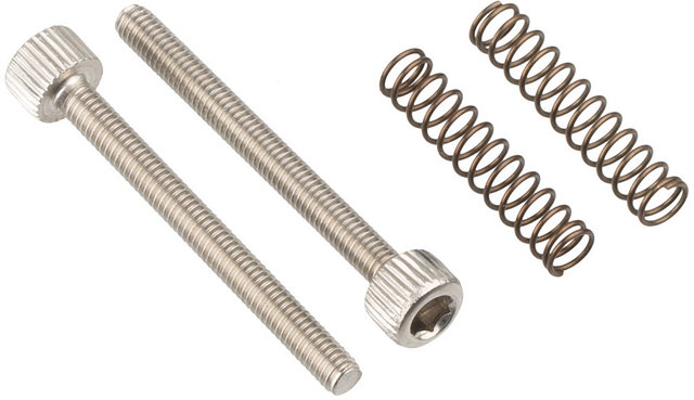 Dropout Bolts for Straggler - silver/universal