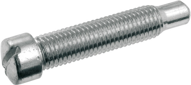 Tension Pin for B190 - silver/universal