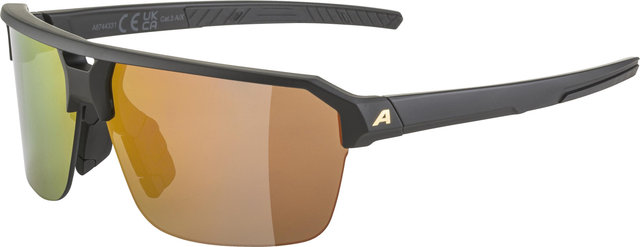 Alpina Swift HR Sports Glasses - black gold matt | mirror gold