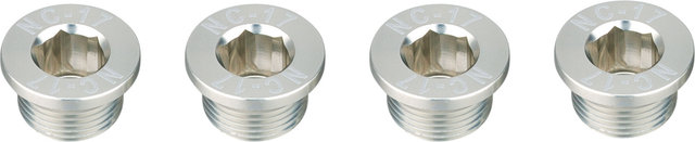NC-17 Chainring bolt for SRAM/Truvativ cranksets with 120mm BCD - silver | 7 mm