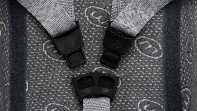 tout terrain Siège Bébé Réglable Weber - gris