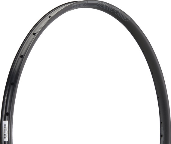 NoTubes Arch MK4 Disc 29" Rim - black/28/29"