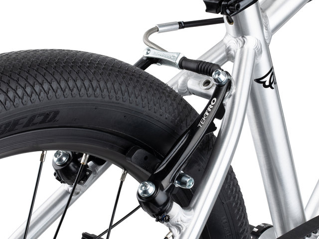 EARLY RIDER Bicicleta para niños Belter 20" - brushed aluminium/20"
