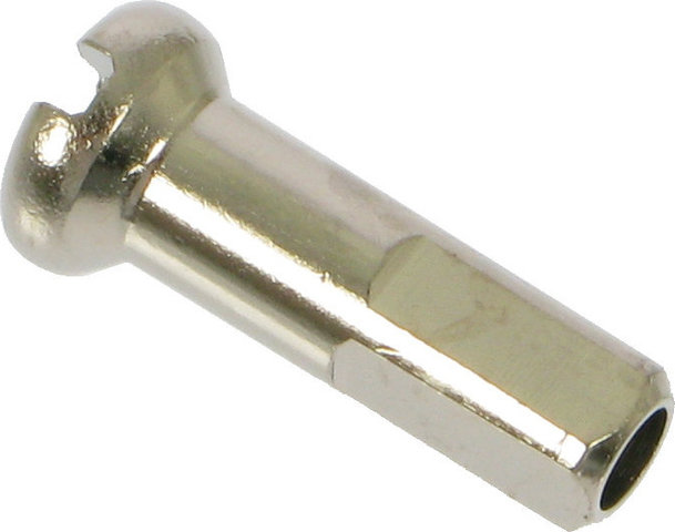 DT Swiss Cabecillas de latón 2,0 mm - 100 unidades - plata/14 mm