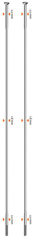 Radios + cabecillas Race Straightpull - 100 unid. - Modelo f. de prod. - plata/248 mm