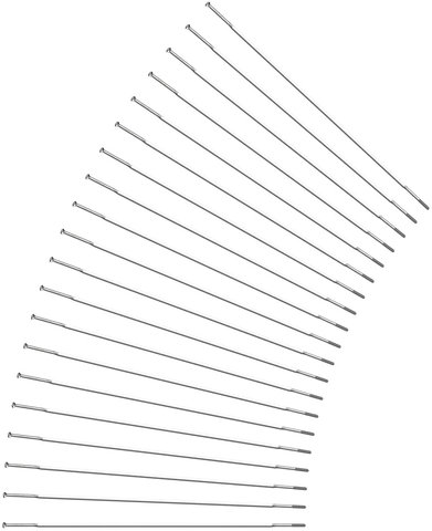 CX-Ray Straight Pull Spokes + Nipples - 20 pcs. - Closeout - silver/248 mm