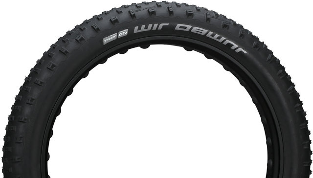 Schwalbe Jumbo Jim Performance ADDIX 26+ Fat Bike Tyre - black/26x4.0