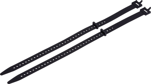 BBB CargoStraps Befestigungsgurte - schwarz/L