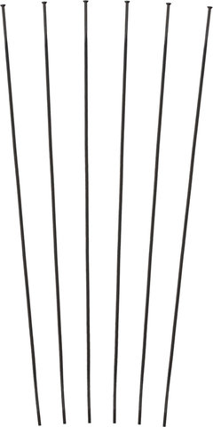 DT Swiss Speichenkit für PR 1600 SPLINE® 32 - schwarz/279 mm, 287 mm, 289 mm