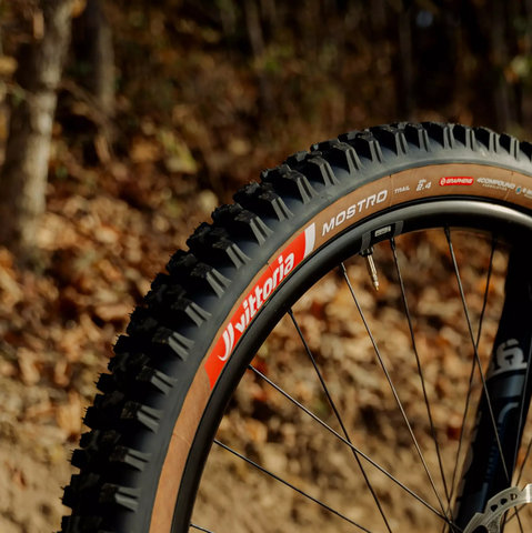 Vittoria Pneu pliable Mostro Trail TLR 29" - noir-brun | 29 | 2.4 | 60-622