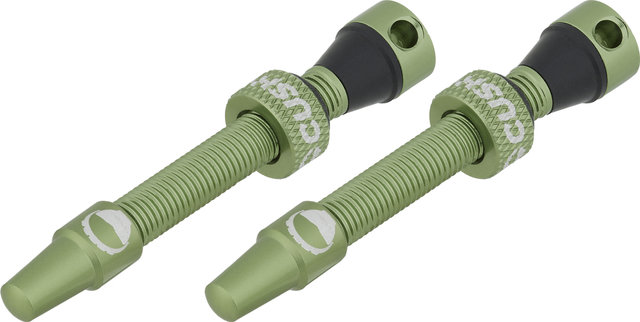 CushCore Tubeless Ventil 44 mm 2er-Set - green/SV