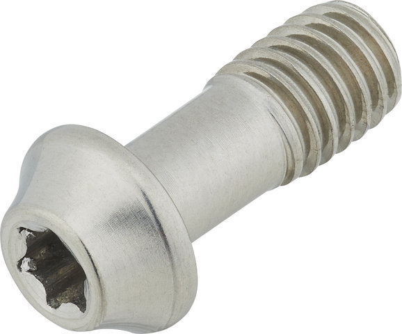 77designz Ti Bolt Titanium Bolt - natural/M6x15
