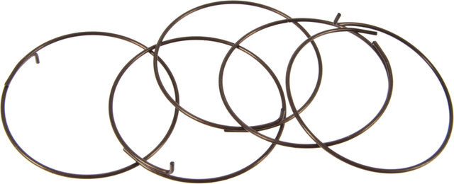 Fulcrum Sperrklinkenfedern 5-R1-015 für RR Freilaufkörper - universal