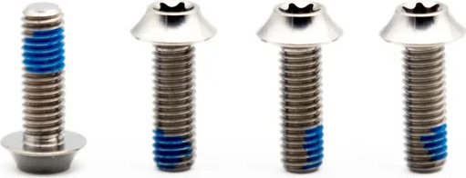 OAK Components Juego de tornillos para portabidones M5x15 Titanio - raw