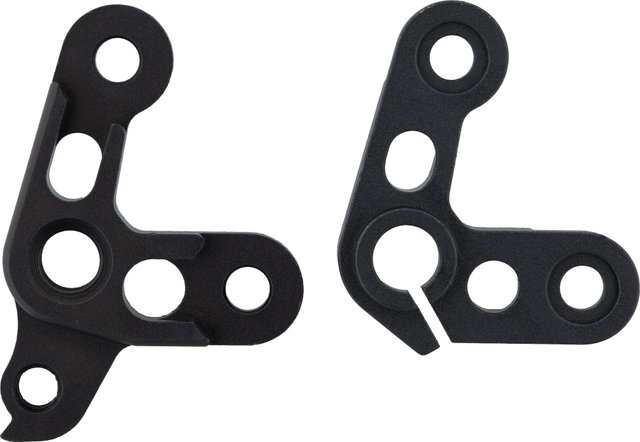 Santa Cruz Schaltauge für V10 - universal/Typ 4