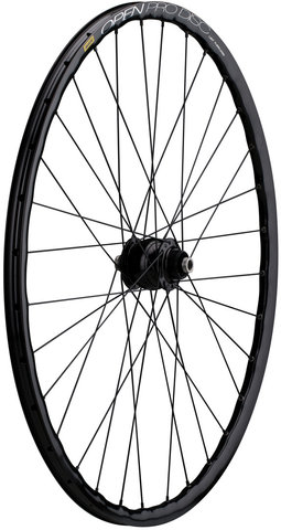 Delux 12 + Open Pro UST Disc + Sapim Race 28" Wheel - black-black/28" front 12x100 dynamo