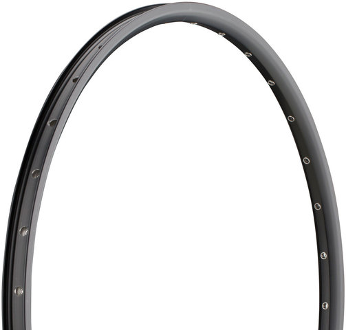 DT Swiss 545 D Disc E-Bike 26" Rim - black/26" / 32 hole