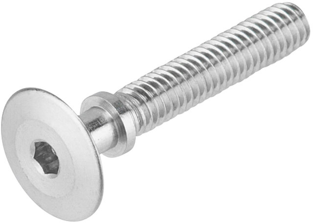 SPURCYCLE Fastening Bolt - raw/universal