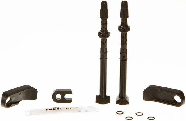 QUARQ Tyrewiz Rewiz für Zipp 303 Firecrest Tubelessventile und Stützen - black