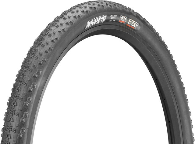 Maxxis Pneu Souple Aspen Dual EXO TR 29" - noir/29x2,1