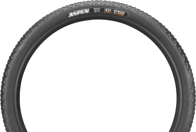 Maxxis Cubierta plegable Aspen Dual EXO TR 29" - negro/29x2,1