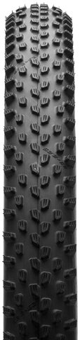 Schwalbe Cubierta plegable Racing Ray Performance ADDIX 29" - negro/29x2,25