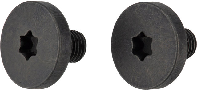 TX15 Halterschraube SL S / B - universal/universal