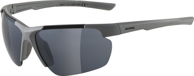 Alpina Defey HR Sportbrille - moon-grey matt | black