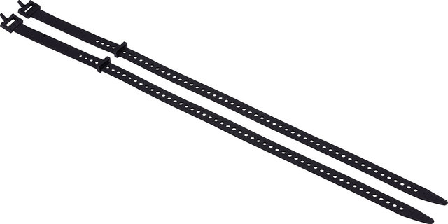 BBB CargoStraps Befestigungsgurte - schwarz/XL