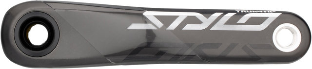 Juego de bielas Stylo Carbon Eagle Boost Direct Mount DUB 12 vel. - black/175,0 mm 32 dientes