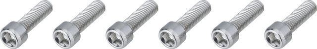 Burgtec Vorbauschrauben Stahl für Enduro MK2 / MK3 - silver