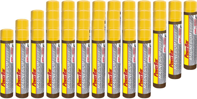 Magnesium Liquid Ampullen - 40 Stück - citrus/1000 ml