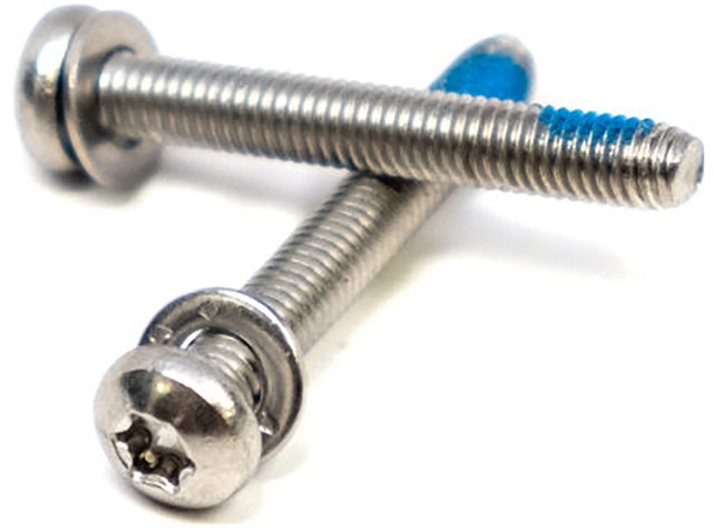 Rear Flat Mount Screws - silver/20 mm