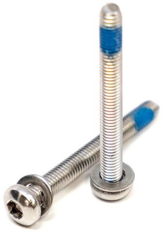 Rear Flat Mount Screws - silver/20 mm