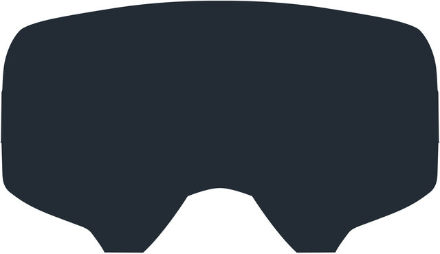 Replacement Lens for Velocity Goggle - smoke/universal