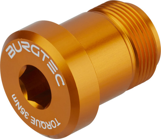Burgtec SRAM T-Type Derailleur Bolt – Bolt 2 - iron bro orange