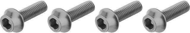 Wolf Tooth Components Tornillos para portabidones - silver/universal