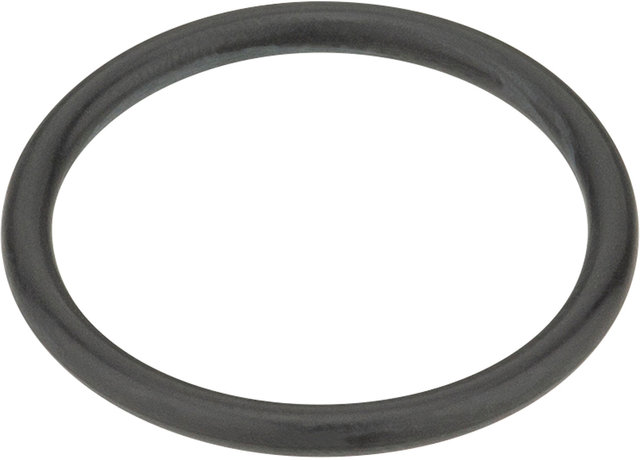 Rubber Gasket for Water Bags / Bladders / Belts up to 1998 - universal/universal