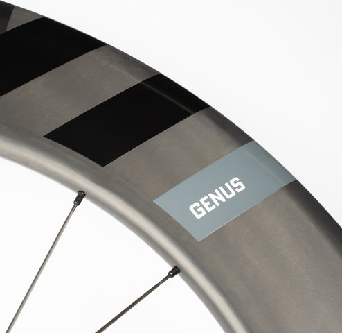 ERE Research Genus AE92-D Carbon Disc Center Lock TT 28" Vorderrad - black-black/Non Boost/28"