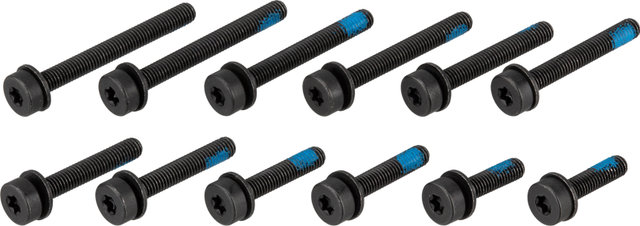 Magura Flat Mount Bolt Set - universal